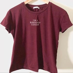 Zara Burgundy Top